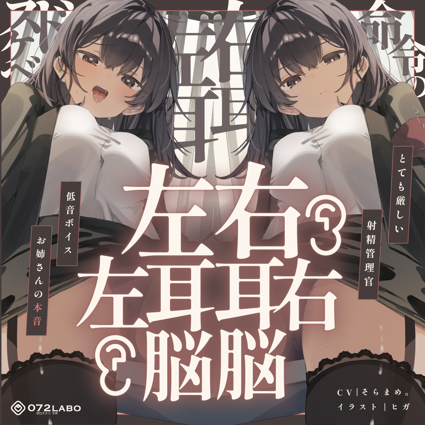 ダウンロード版